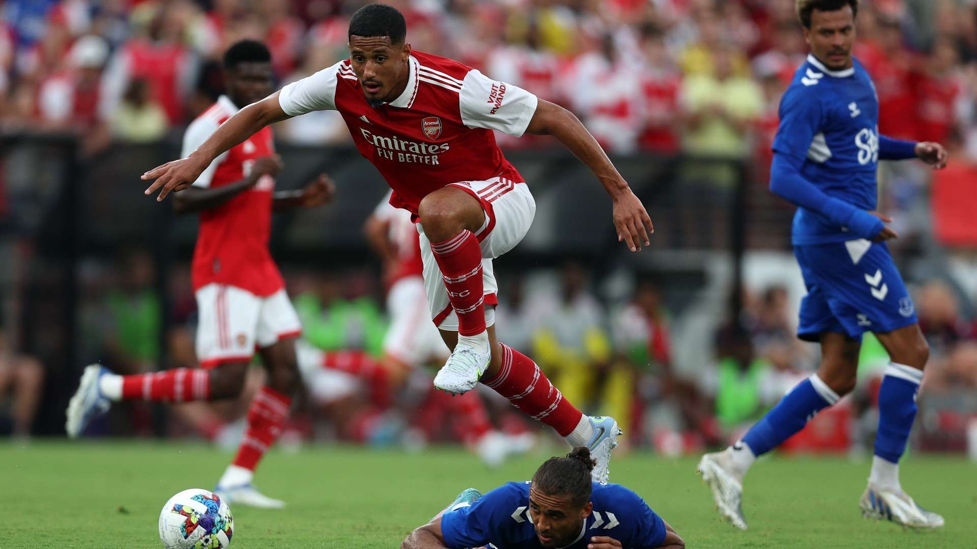 于激进的动 于激进的动