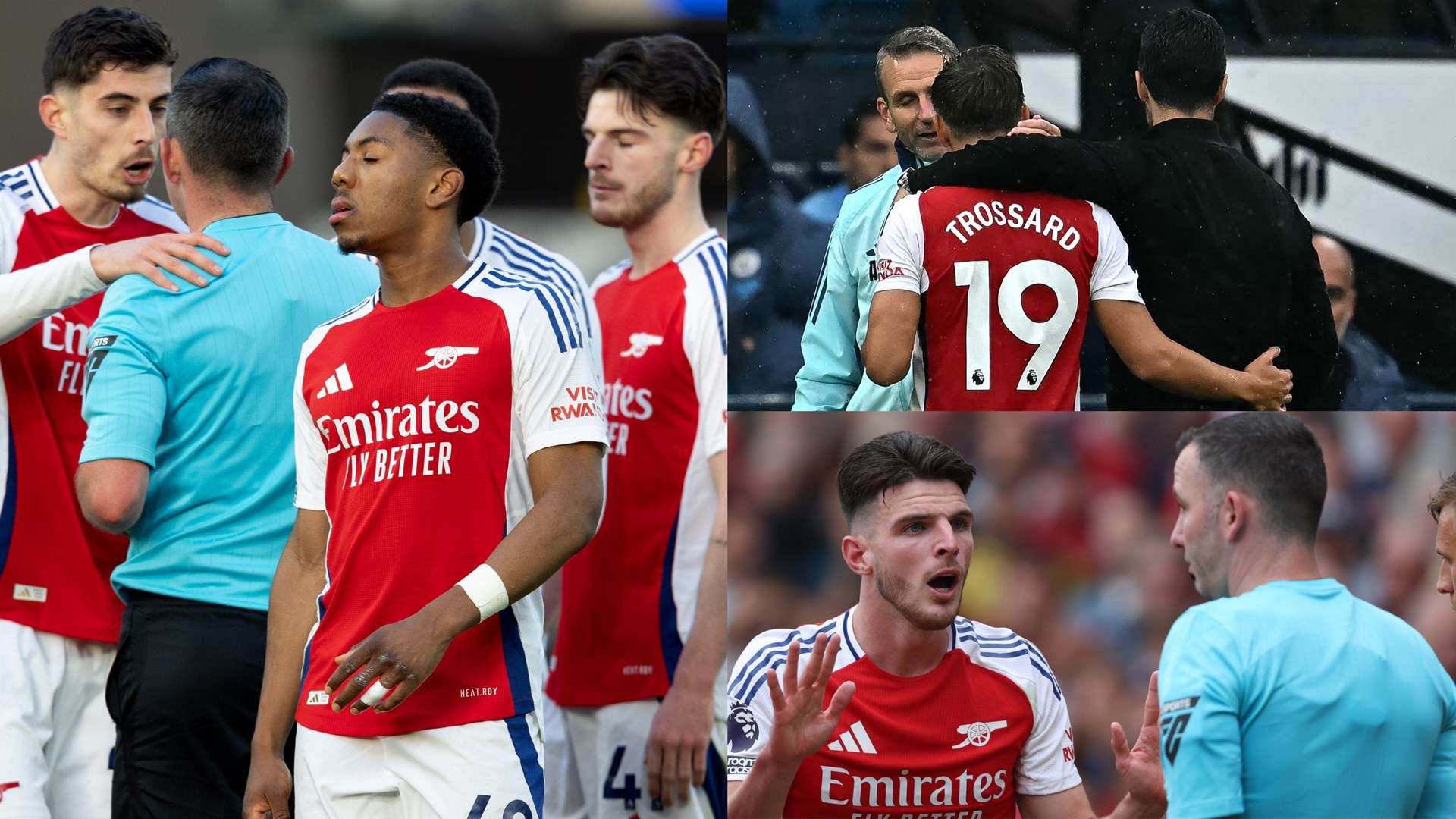 年轻组合的 年轻组合的