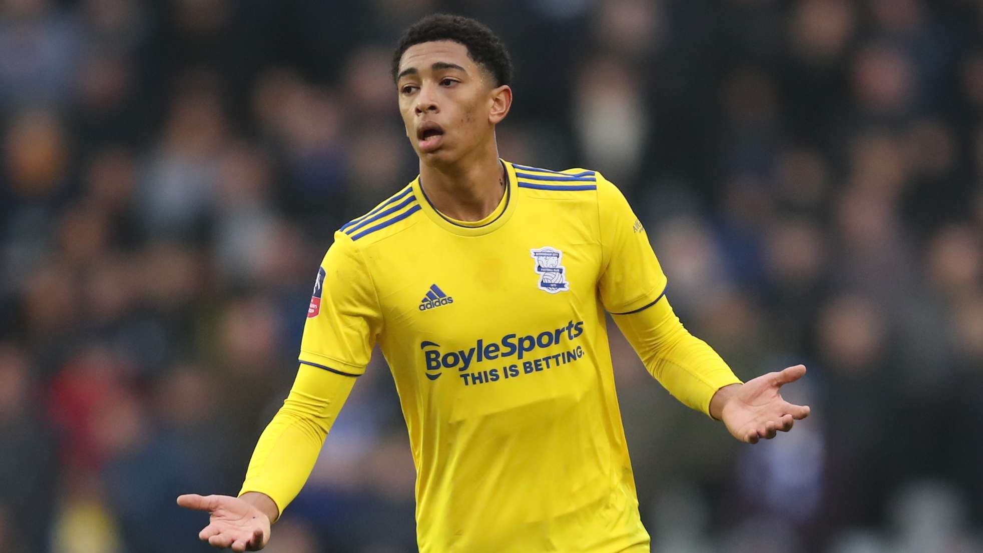 卫的边缘化 卫的边缘化